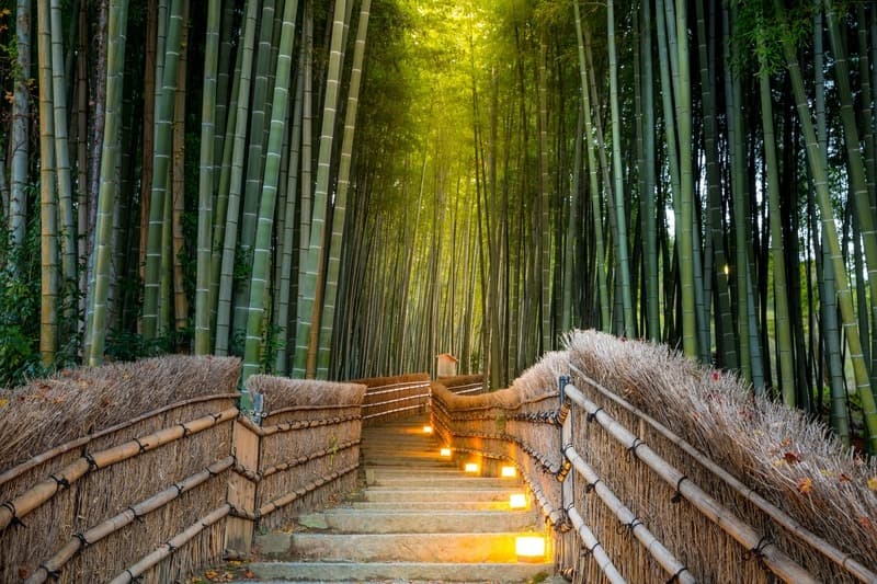 Bosque de bambú de Arashiyama